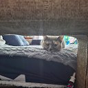 ���� �����, �������, 44 ���� - ��������� 16 ������ 2026 � ������ ��������, ������ ���� �������)�