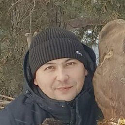 , , 41 