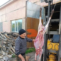 ����, ����, 64 ����