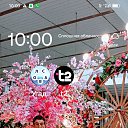 ���� ����� ������, �����, 66 ��� - ��������� 10 ��� 2026
