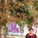 ���� ������, ������ - ��������� 9 ������� 2025