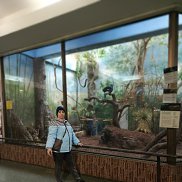 �������, 38 ���, ����������