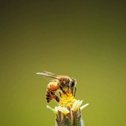 ������, �����, 22 ����