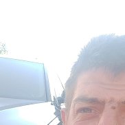 , 33 , 