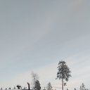 ���� ������, ������������, 55 ��� - ��������� 7 ��� 2026 � ������ ���� ����������