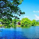 ���� �����, ������, 50 ��� - ��������� 2 ������ 2025