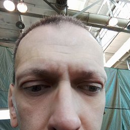 ������, �����������, 50 ���