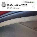 ���� ������, �������, 53 ���� - ��������� 16 ��� 2026 � ������ ���� ����������