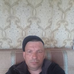 , 52, 