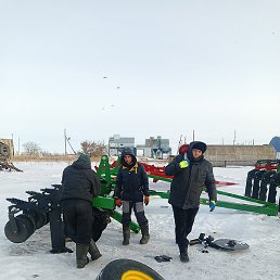 ������, �������, 51 ���