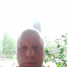 , 54, 
