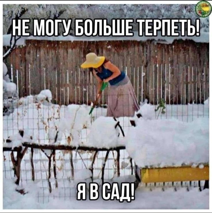 ��� ���� - 12 ����� 2026 � 12:53