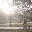 ���� �����, �����-���������, 50 ��� - ��������� 26 ����� 2026 � ������ ���� ����������