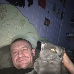 ����, 43 ����, ����