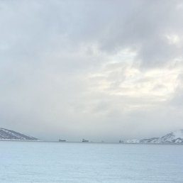 �����, 46 ���, ������