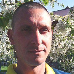 Maksim, �������, 45 ���