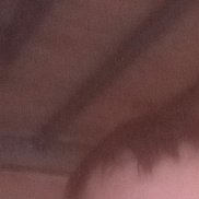 ����, 44 ����, �����������