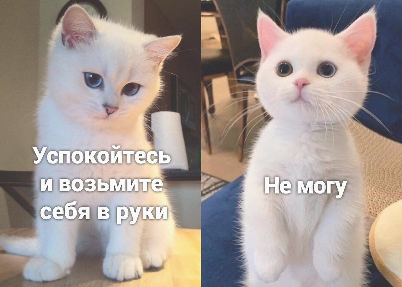    - 20  2024  16:42