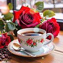 ���� �����, ������ - ��������� 15 ������ 2025 � ������ ������ ��������