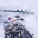 ���� ������, �������, 54 ���� - ��������� 18 ������ 2025 � ������ ��������