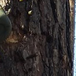 ����, ������, 44 ����