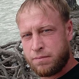 �����, ������, 38 ���