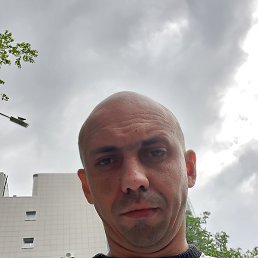 �����, ��������, 41 ���