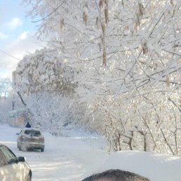 ������, �����-���������, 37 ���