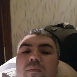 , 33 , 