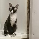 ���� ������, ������ ��������, 34 ���� - ��������� 12 ����� 2026