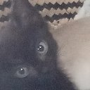 ���� ���, ���������, 49 ��� - ��������� 8 ������ 2023 � ������ ���� ����������