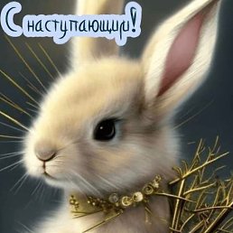 ����, ������, 56 ���