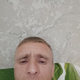 �����, 36 ���, ������