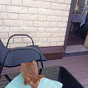 ���� �������, ��������� - ��������� 7 ���� 2026 � ������ ������ ��������