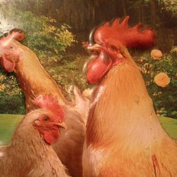 ����������, ������, 35 ���