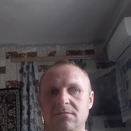 ���� �����, ������������, 41 ��� - ��������� 22 ����� 2026