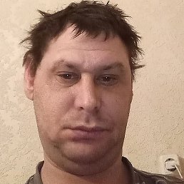 �������, ������������, 41 ���