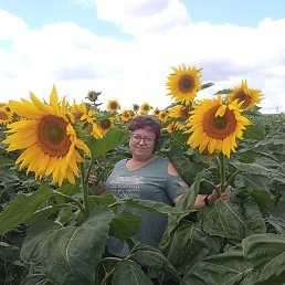 ���� ������, ��������, 56 ��� - ��������� 21 ������� 2025