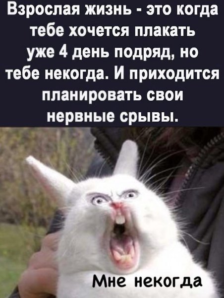 ������� � ���� � ��������.