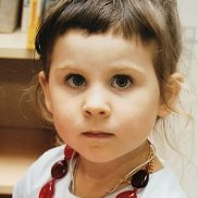 ��������, 66 ���, ����