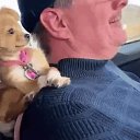 ���� ����, ������, 59 ��� - ��������� 12 ������ 2024 � ������ ���� ����������