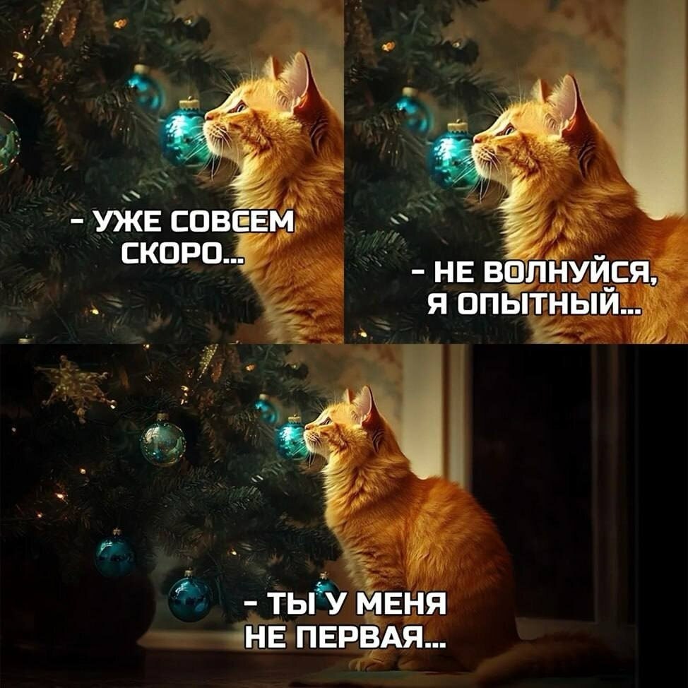 ��� ���� � ����� �� �� - 23 ������� 2025 � 14:33