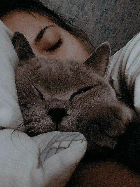   !!!     11:00!)