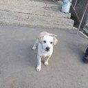 ���� ����, ����, 39 ��� - ��������� 14 ������ 2024 � ������ ���� ����������