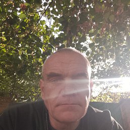 , 49, 