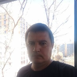 , 51, 