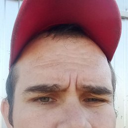 , 33, 