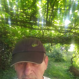 , 49, 