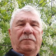 �������, 66 ���, ���������