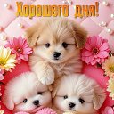 ���� �����, ����������, 59 ��� - ��������� 16 ������ 2026